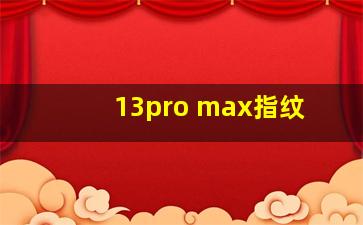 13pro max指纹